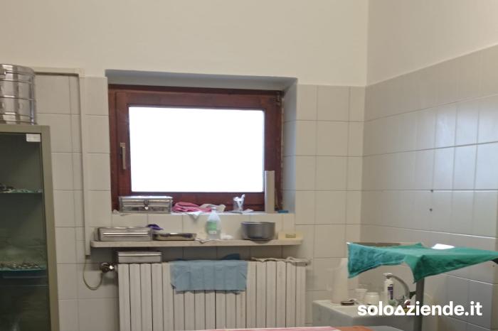 Affitto Clientela/avviamento studi professionali AMBULATORIO VETERINARIO ATTIVO DAL 1984 a Lavis (TN)